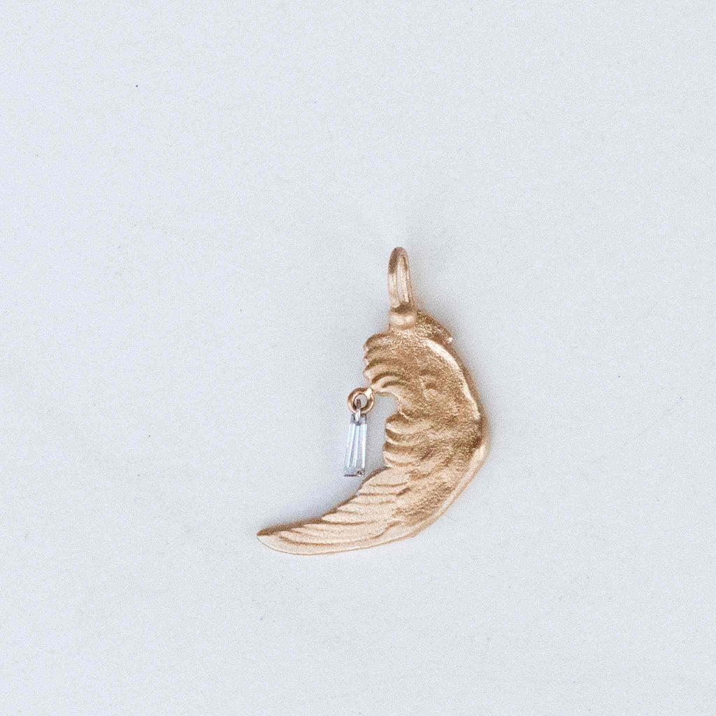 angel wing - Joanie Schwarz